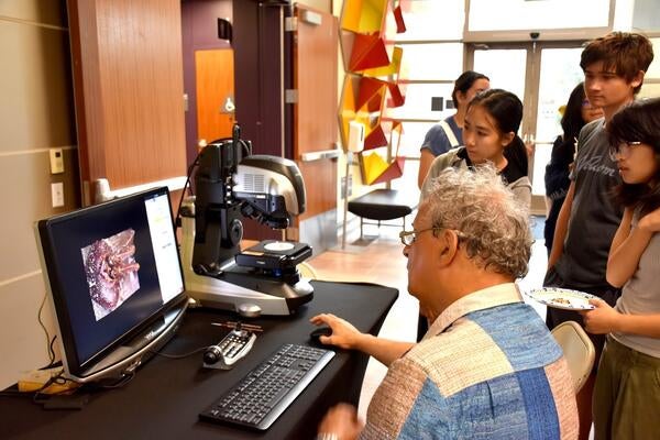 demonstrating a microscope
