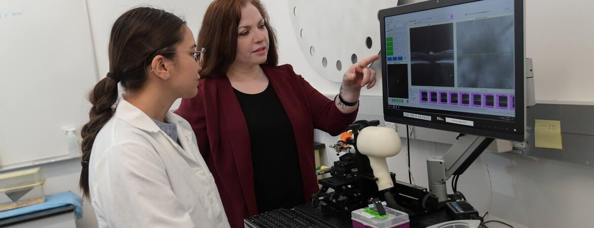 Dr. Tiwari-Woodruff at a lab computer with a student