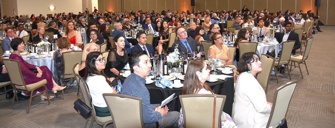 The audience at the gala watches the video,
