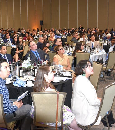 The audience at the gala watches the video,