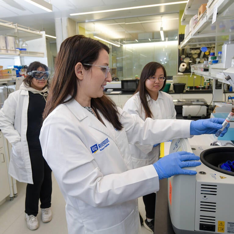 Heinrich lab