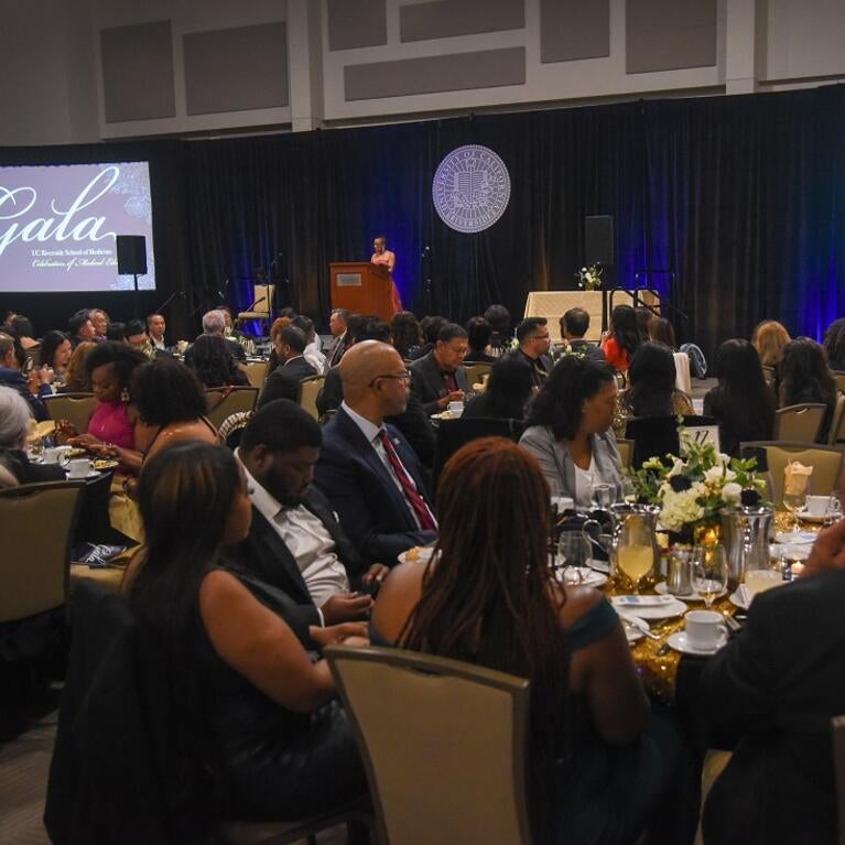 The 2025 Gala stage